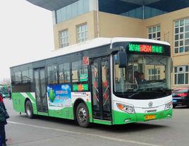 石家莊公交504路 石家莊公交504路