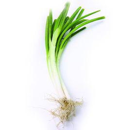 小蔥 小蔥