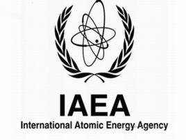 國際原子能機構 國際原子能機構