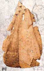 “祭祀狩獵”塗朱牛骨刻辭 “祭祀狩獵”塗朱牛骨刻辭