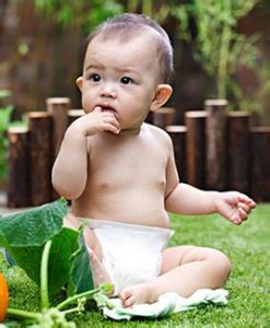 寶寶吃手 寶寶吃手