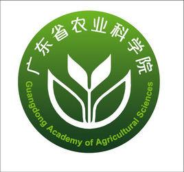 廣黃55號 廣黃55號