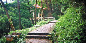 白石山綠谷 白石山綠谷