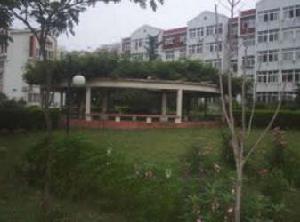 天泰桃源 天泰桃源