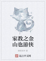 家教之金山也遊俠