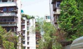 新鴻一區 新鴻一區