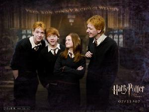 《哈利·波特與鳳凰社》[電影] 