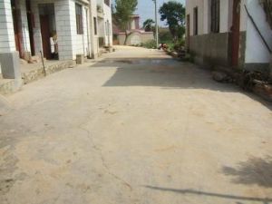 沿江鄉新發村 沿江鄉新發村