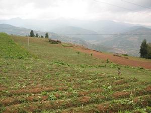 浪泥箐村自然資源-耕地