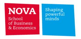 新里斯本大學商業經濟學院 新里斯本大學商業經濟學院