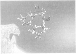 《情感化設計》