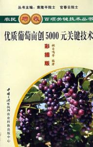 優質葡萄畝創5000元關鍵技術 優質葡萄畝創5000元關鍵技術