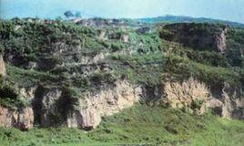 廟後村遺址 廟後村遺址