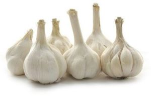 嘉定大白蒜 嘉定大白蒜