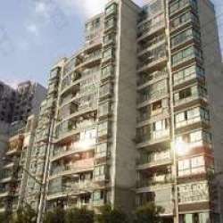 中興小區 中興小區