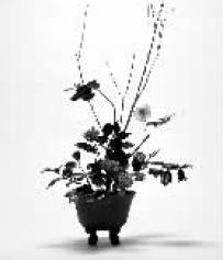 《文明論概略》