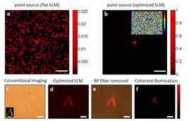 皮膚穿透相機 皮膚穿透相機