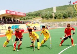 曲棍球比賽 曲棍球比賽