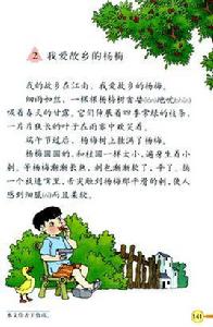 我愛故鄉的楊梅 我愛故鄉的楊梅