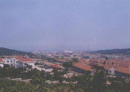 安子灣村 安子灣村