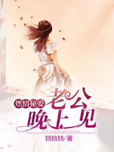 燃情秘愛:老公晚上見 燃情秘愛:老公晚上見