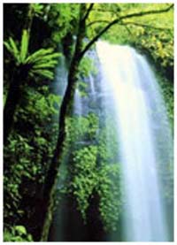 槲樹灣旅遊風景度假區