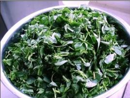 苜蓿煎餅 苜蓿煎餅