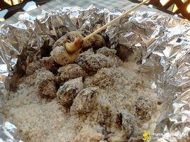 鹽焗醉花螺 鹽焗醉花螺