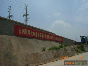 官洲島（廣州國際生物島）