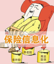 保險信息化