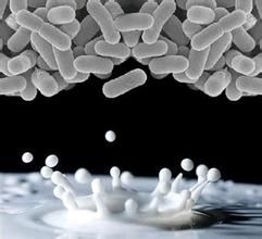 抗凍蛋白 抗凍蛋白