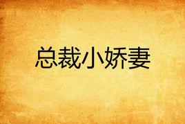 總裁小嬌妻 總裁小嬌妻