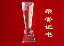 廣西衛視所獲獎盃