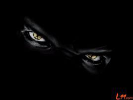 神秘[1978年荷蘭電影]