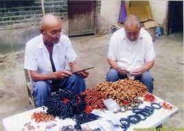 東岸桃核雕花工藝 東岸桃核雕花工藝