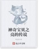 神奇寶貝之亮的傳說 神奇寶貝之亮的傳說