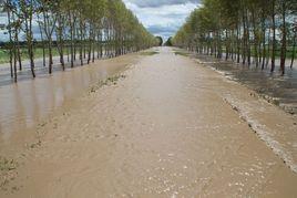 過水路面 過水路面