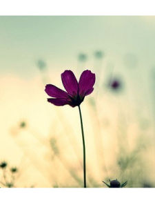 遙不可及 遙不可及