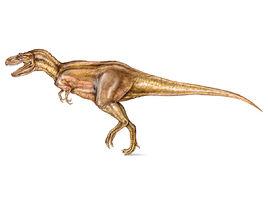 艾伯塔龍 艾伯塔龍