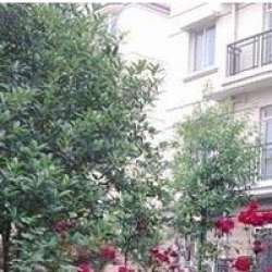 華星晨龍城 華星晨龍城