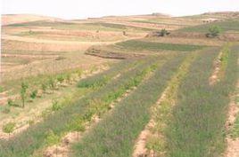 党家峴鄉 党家峴鄉