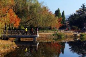 青島中山公園的秋天