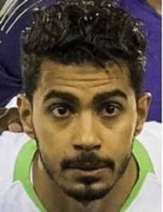 阿爾莫加維 阿爾莫加維