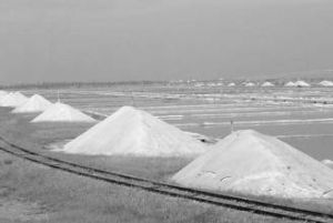 三門鹽場 三門鹽場