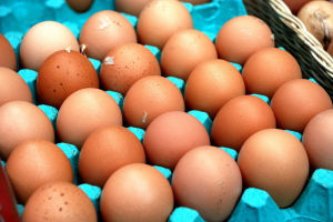 雞蛋