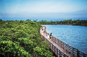 東寨港自然保護區