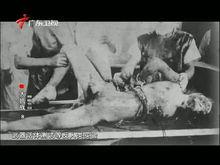 大抗戰[百集大型文獻紀錄片]