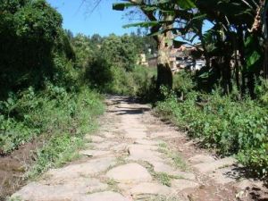 牛期旦村 牛期旦村