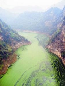 面源污染 面源污染
