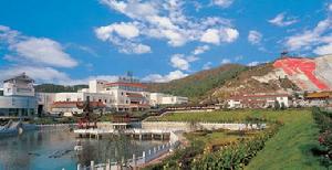 北京密雲水庫山林民俗度假村